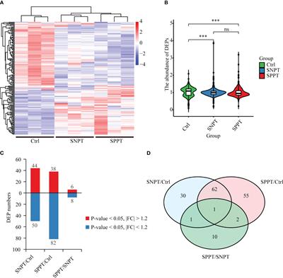 Proteomic analyses of smear-positive/negative tuberculosis patients uncover differential antigen-presenting cell activation and lipid metabolism